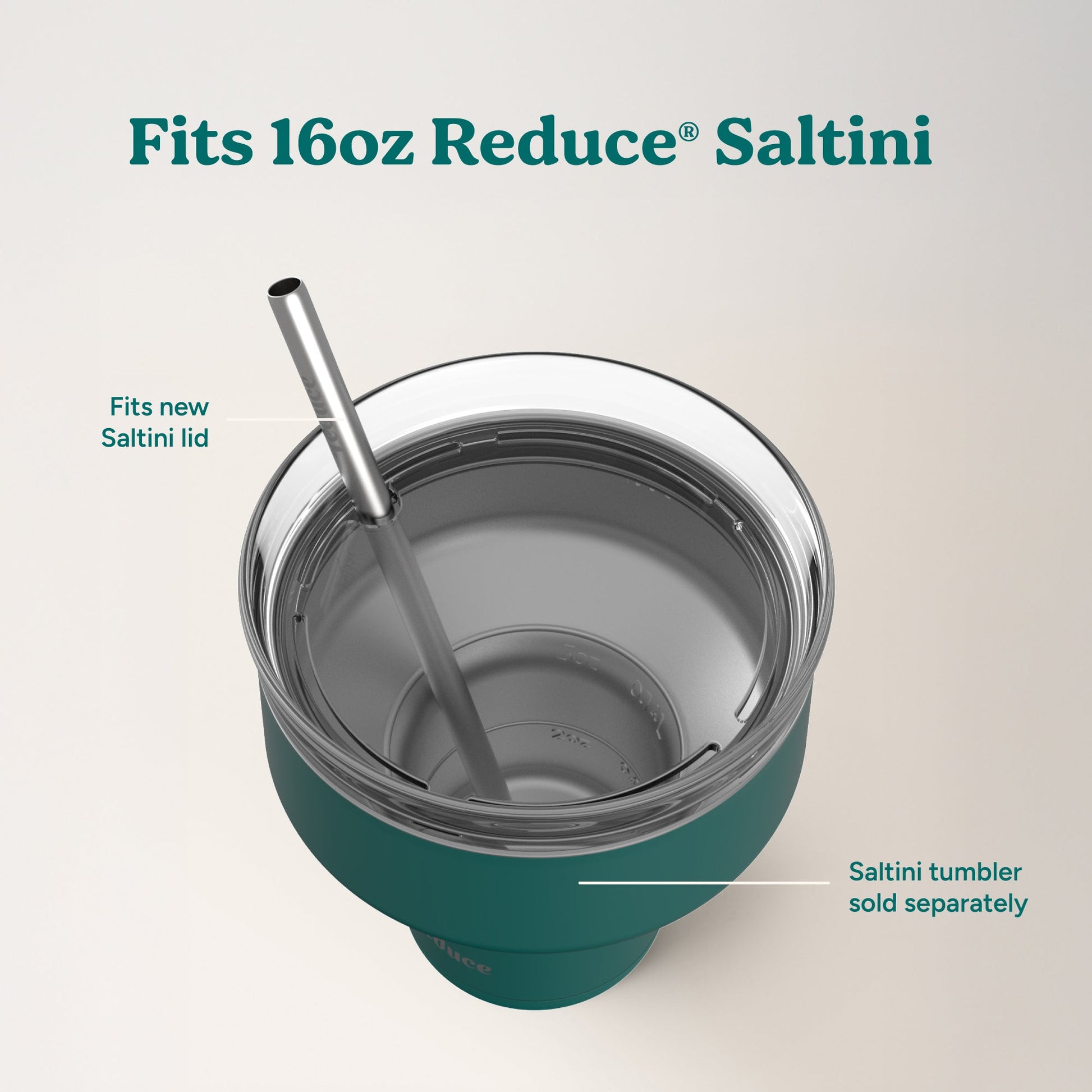 saltini-straw-set-w5 4PK_SaltiniStraws_SS-4.jpg