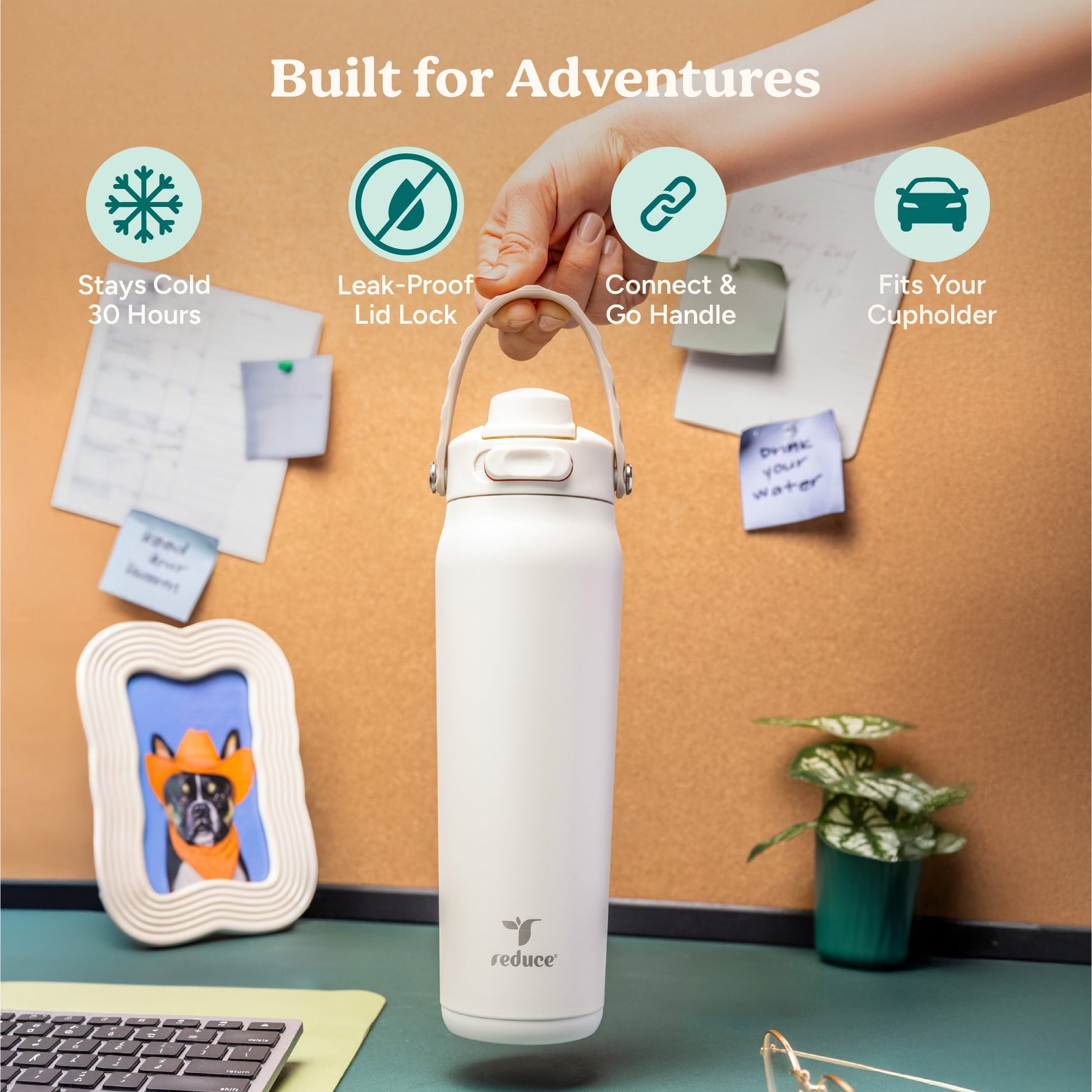 aura-26-oz-d6 Aura_26oz_Unbleached_PDP_Infographic_1.jpg