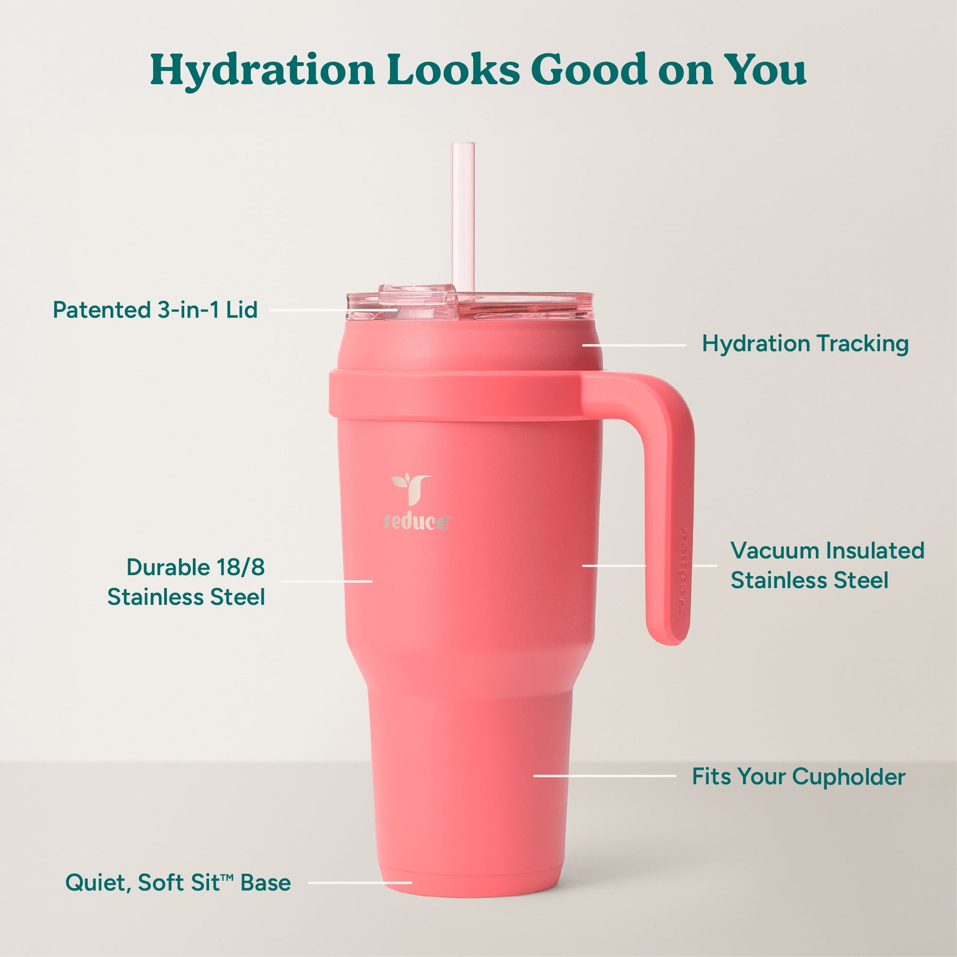 cold1-40-oz-e0 Cold1_40oz_Daiquiri_Infographic_2.jpg