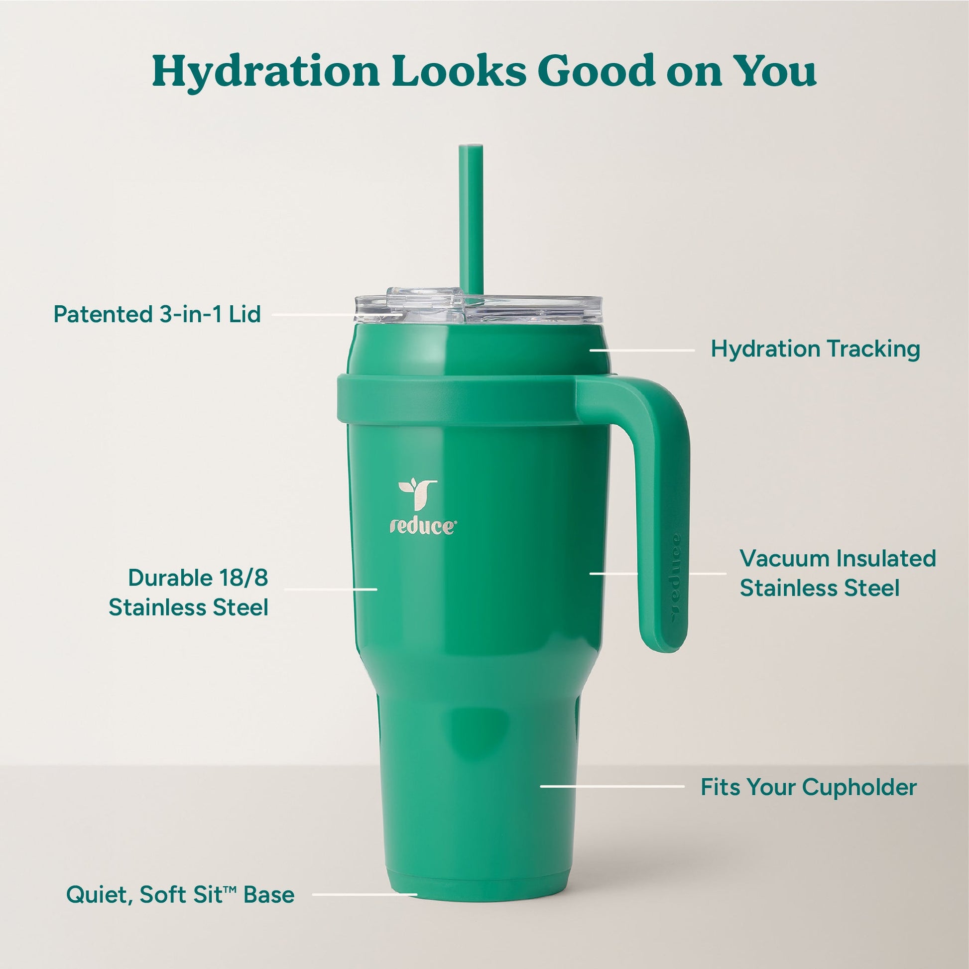 cold1-40-oz-e0 Cold1_40oz_PalmLeaf_Infographic_2.jpg