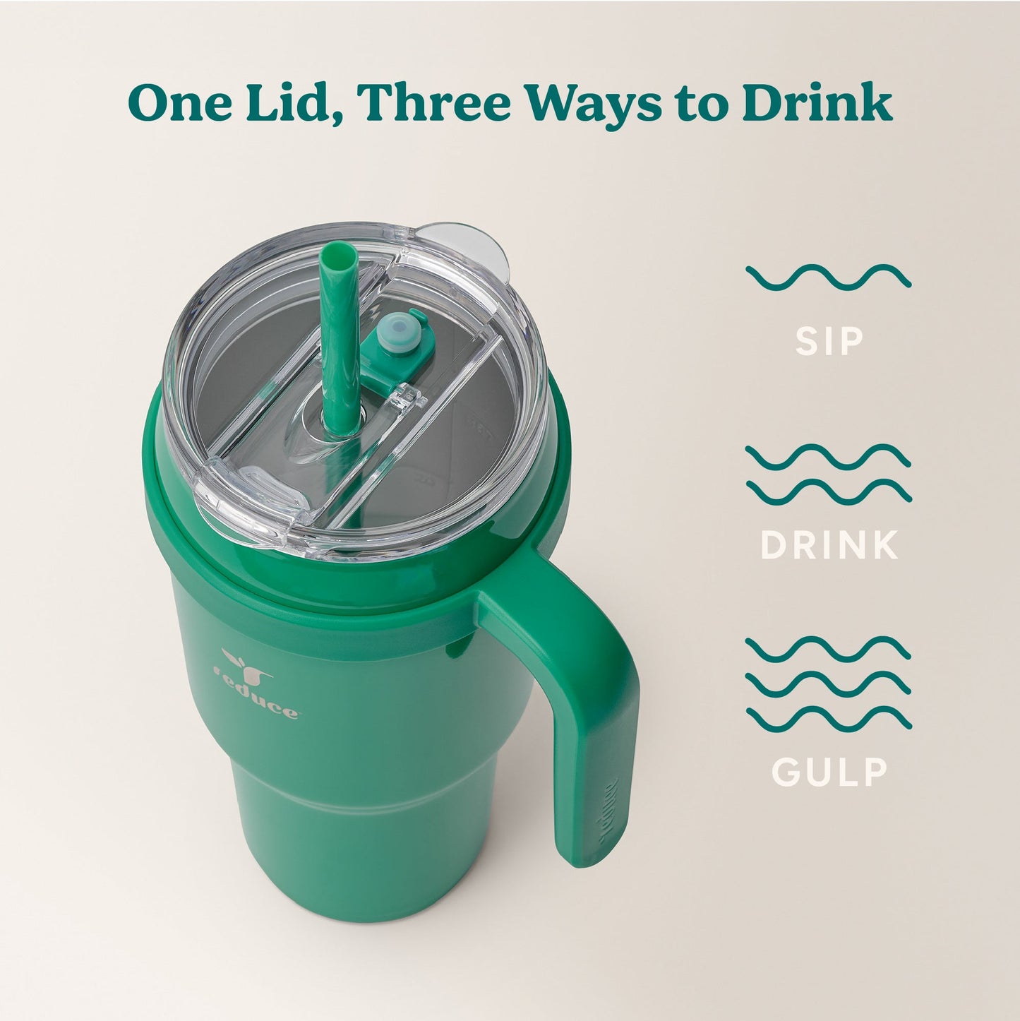 cold1-40-oz-e0 Cold1_40oz_PalmLeaf_Infographic_3.jpg