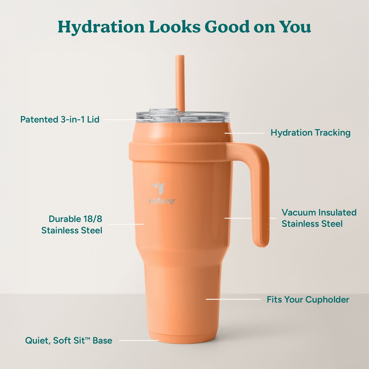 cold1-40-oz-e0 Cold1_40oz_Papaya_Infographic_2.jpg