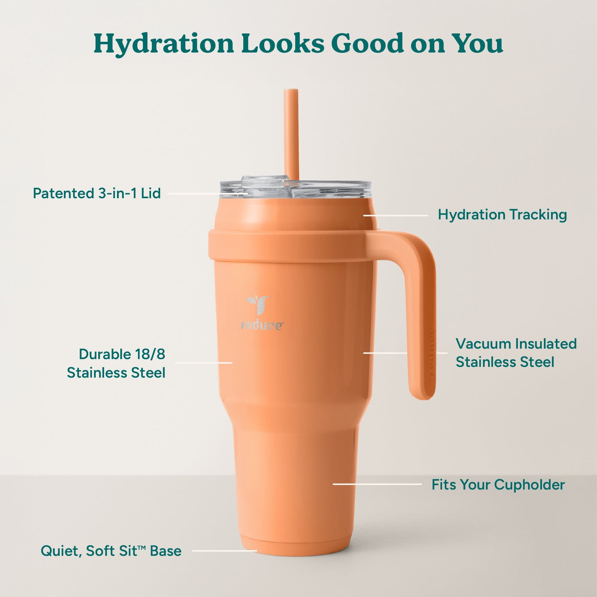 cold1-40-oz-e0 Cold1_40oz_Papaya_Infographic_2.jpg