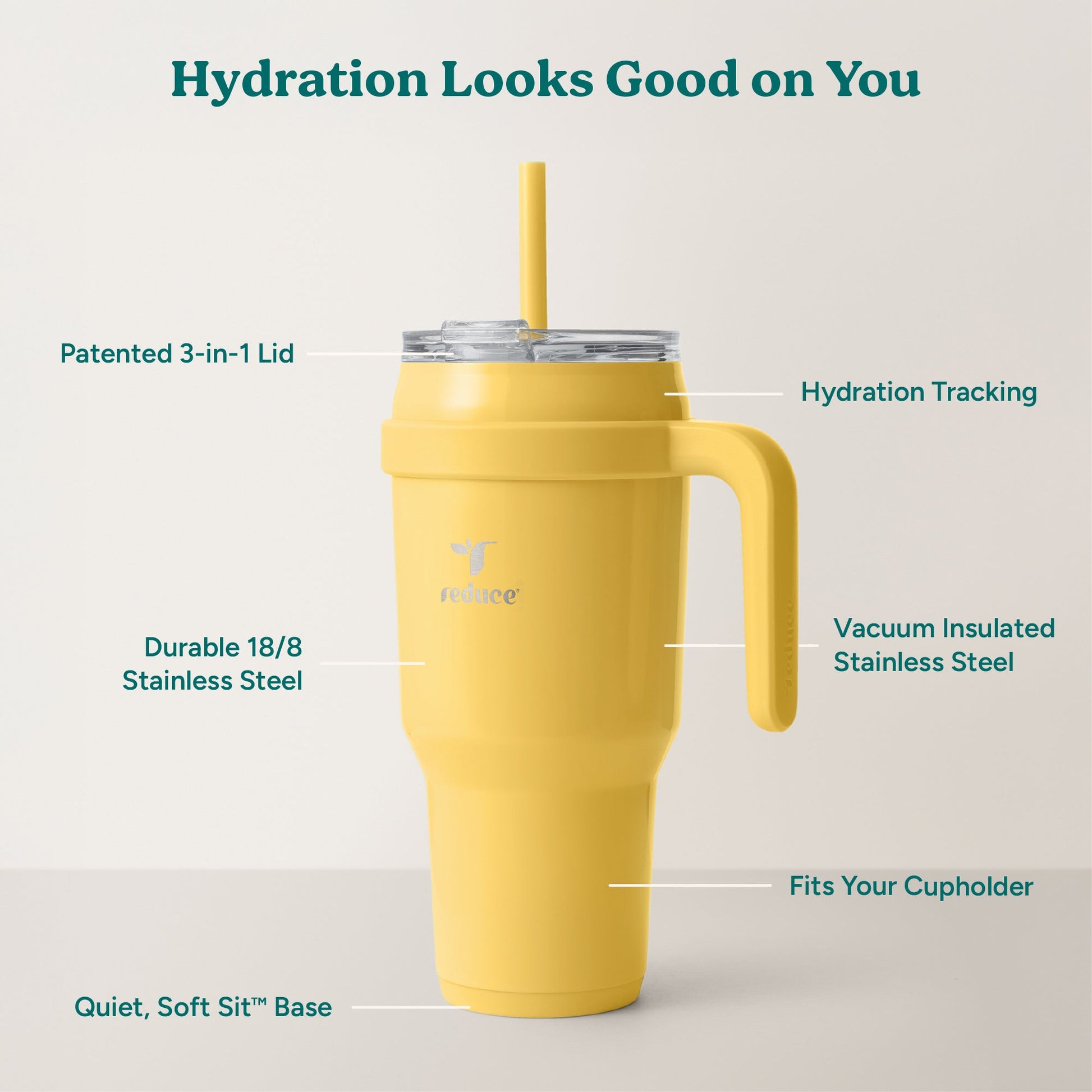 cold1-40-oz-e0 Cold1_40oz_Pineapple_Infographic_2.jpg
